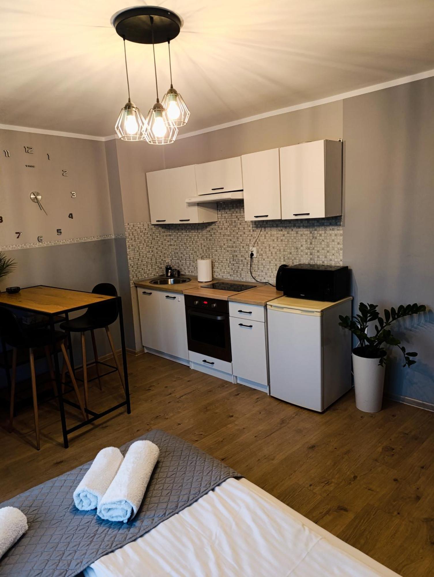 Nad Drweca Apartment *